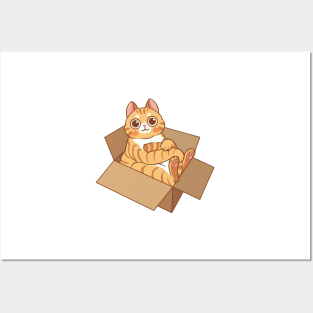 Tabby cat in the box Posters and Art